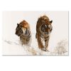 cuadros de tigres pintados a mano en acrílico en medida de 120x80cm.