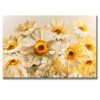 Cuadro de girasoles pintado a mano en acrílico con relieve táctil en medida de 120x80cm.